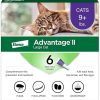 Advantage II Large Cat Vet-Recommended Flea Treatment & Prevention | Cats Over 9 lbs. | 6-Month Supply